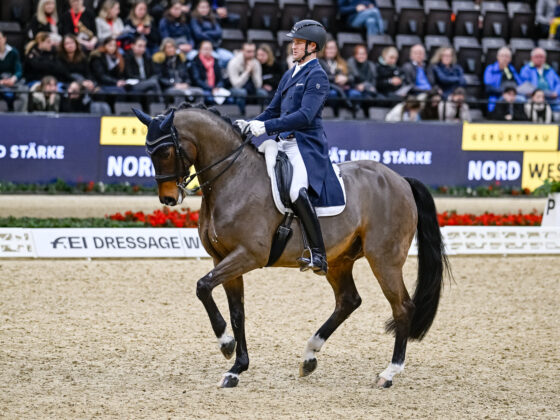 Florian Bacher (ST) und Fidertraum OLD platzierten sich als bestes österreichisches Duo in Basel auf Rang acht. © CHI Basel | Katja Stuppia