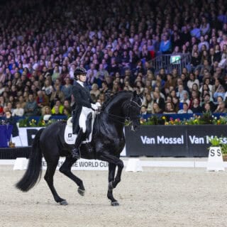 Volles Haus: Das Weltcup-Turnier im Amsterdam war top besucht. Alle wollten Charlotte Fry und Glamourdale tanzen sehen. © FEI / Leanjo de Koster 