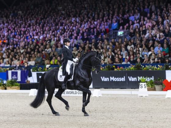 Volles Haus: Das Weltcup-Turnier im Amsterdam war top besucht. Alle wollten Charlotte Fry und Glamourdale tanzen sehen. © FEI / Leanjo de Koster 