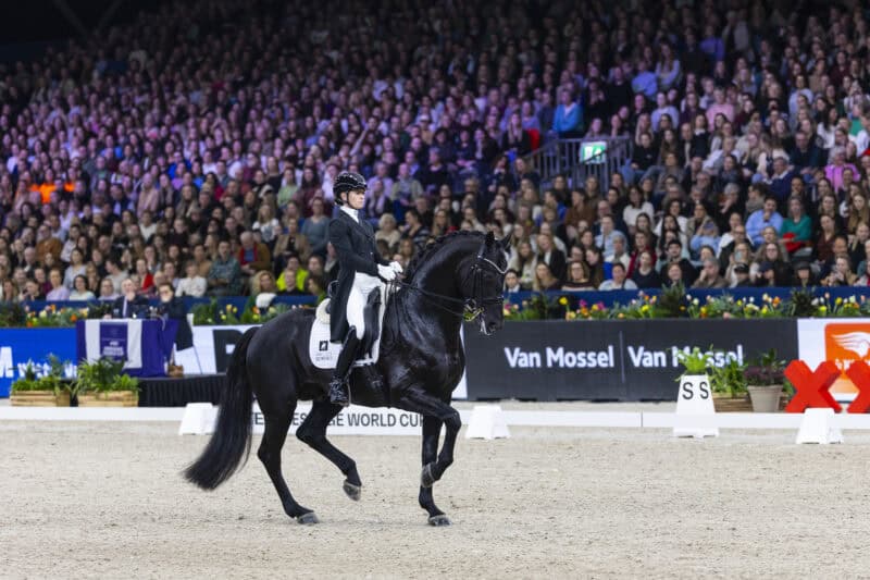 Volles Haus: Das Weltcup-Turnier im Amsterdam war top besucht. Alle wollten Charlotte Fry und Glamourdale tanzen sehen. © FEI / Leanjo de Koster 