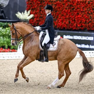 Personal Best in Neumünster! Bettina Kendlbacher (ST) dirigierte ihren Broadmoars Don Alfredo AWÖ zu 75,030 %. © CHI Basel | Katja Stuppia