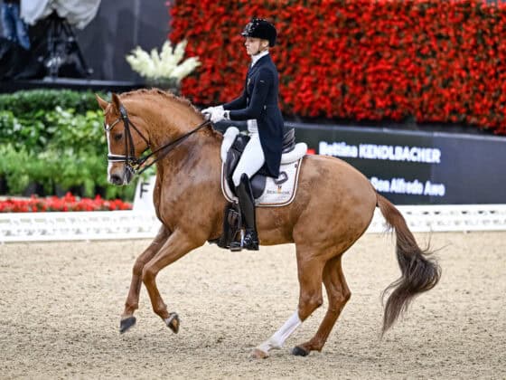 Personal Best in Neumünster! Bettina Kendlbacher (ST) dirigierte ihren Broadmoars Don Alfredo AWÖ zu 75,030 %. © CHI Basel | Katja Stuppia