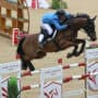 Gerfried Puck pilotiert seinen BWP-Wallach Ornaat V im Fünf-Sterne-Springen in Doha auf den hervorragenden dritten Rang. © LGCT