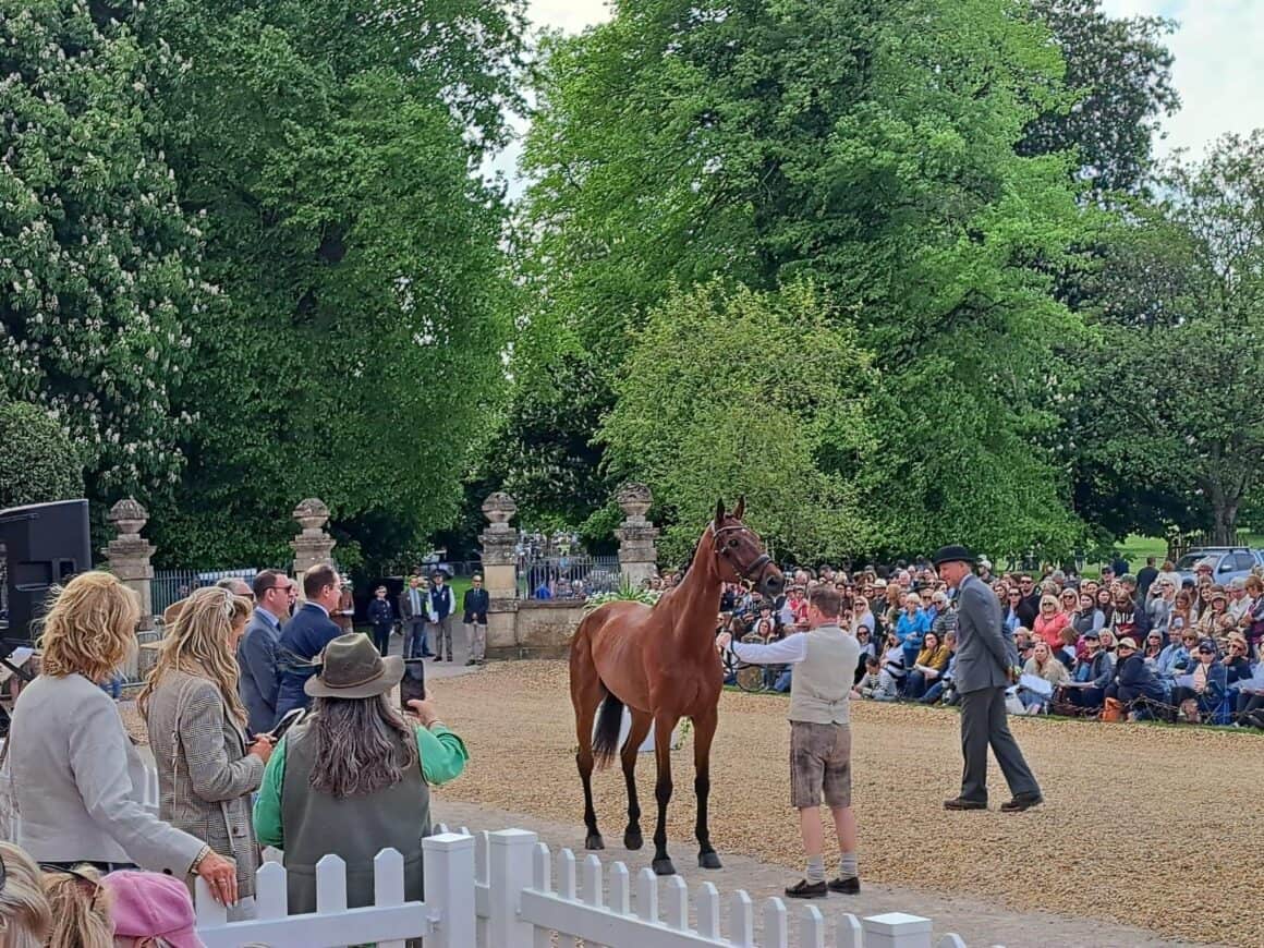 Die Badminton Horse Trials haben ein ganz besonderes Flair. © privat