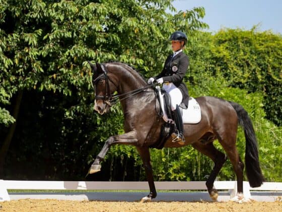 Victoria Max-Theurer (OÖ) verzichtet auf einen Start bei den Europameisterschaften in Crozet. © EQWO.net | Petra Kerschbaum
