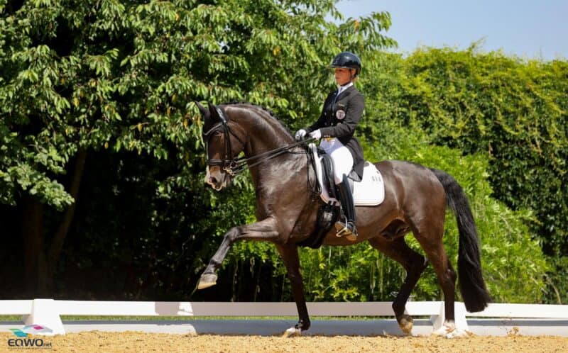 Victoria Max-Theurer (OÖ) verzichtet auf einen Start bei den Europameisterschaften in Crozet. © EQWO.net | Petra Kerschbaum