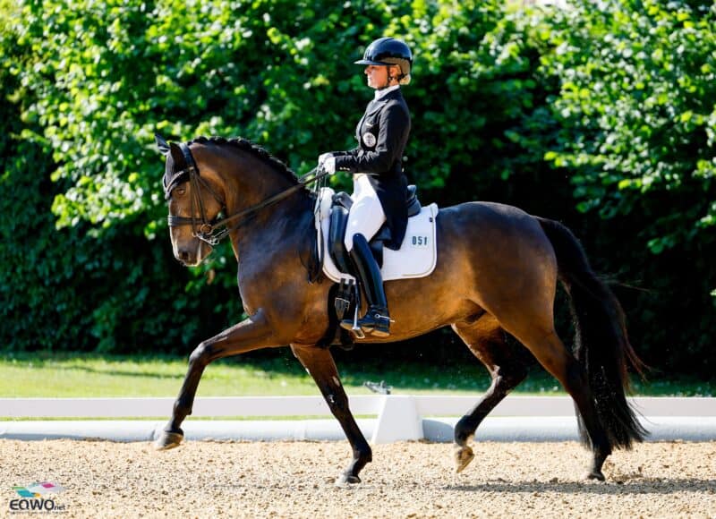 Victoria Max-Theurer debütierte in Achleiten mit ihrem neuen Pferd: L'Espoir v. Rubin-Royal © EQWO.net | Petra Kerschbaum