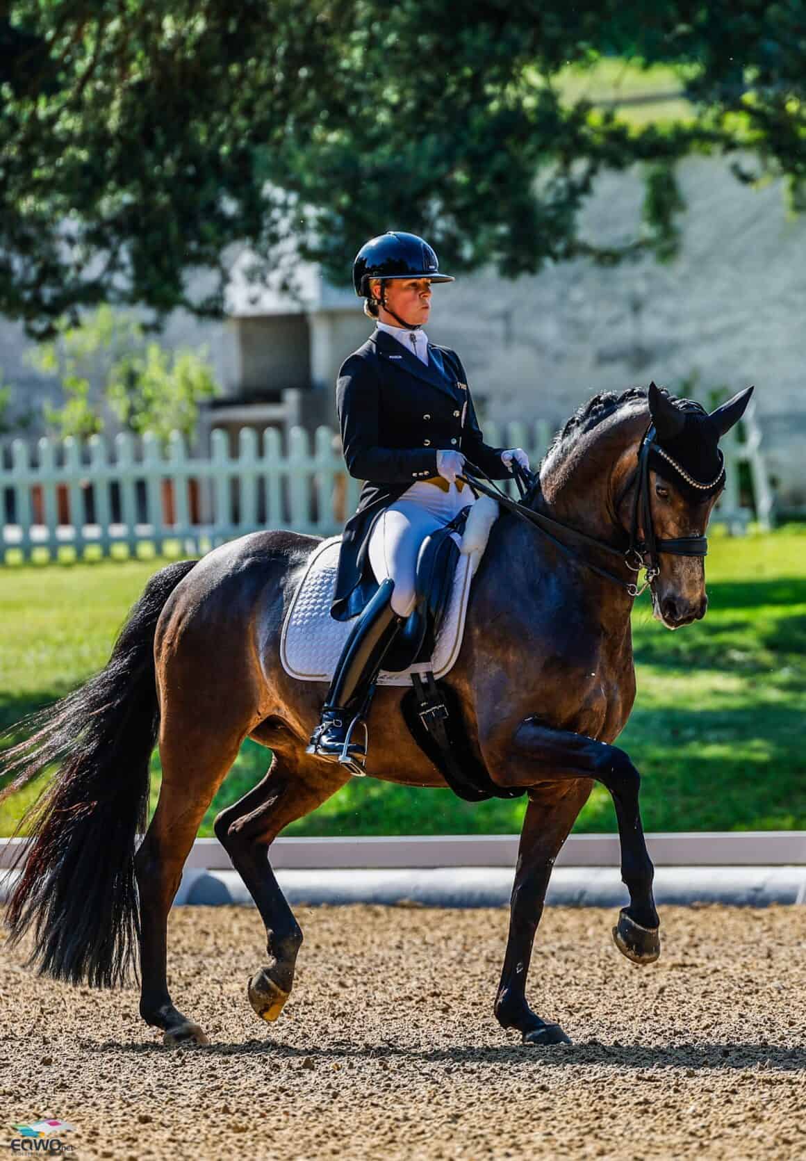 Neues Paar: Victoria Max-Theurer (OÖ) stellte in Achleiten ein neues Pferd vor. © EQWO.net | Petra Kerschbaum