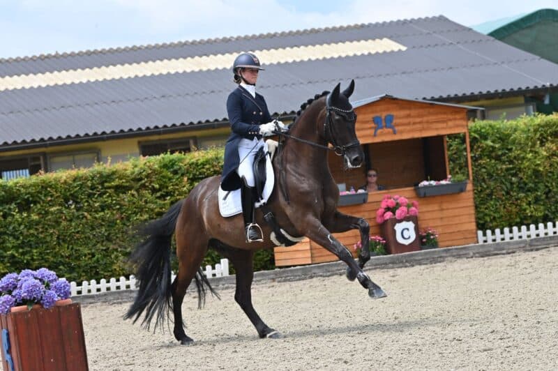 Anna Kleindienst-Jilly (W) gewann den ersten Grand Prix Österreichs auf Trense. © István Lehoczky