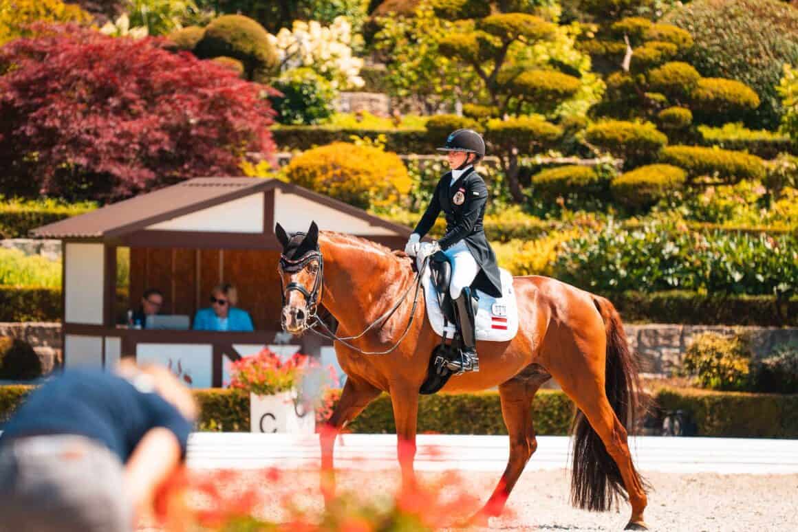 Der 16-jährige Hannoveraner-Hengst Bodyguard bestritt in Kronberg seine fünften Europameisterschaften. © Helene Iljazovic