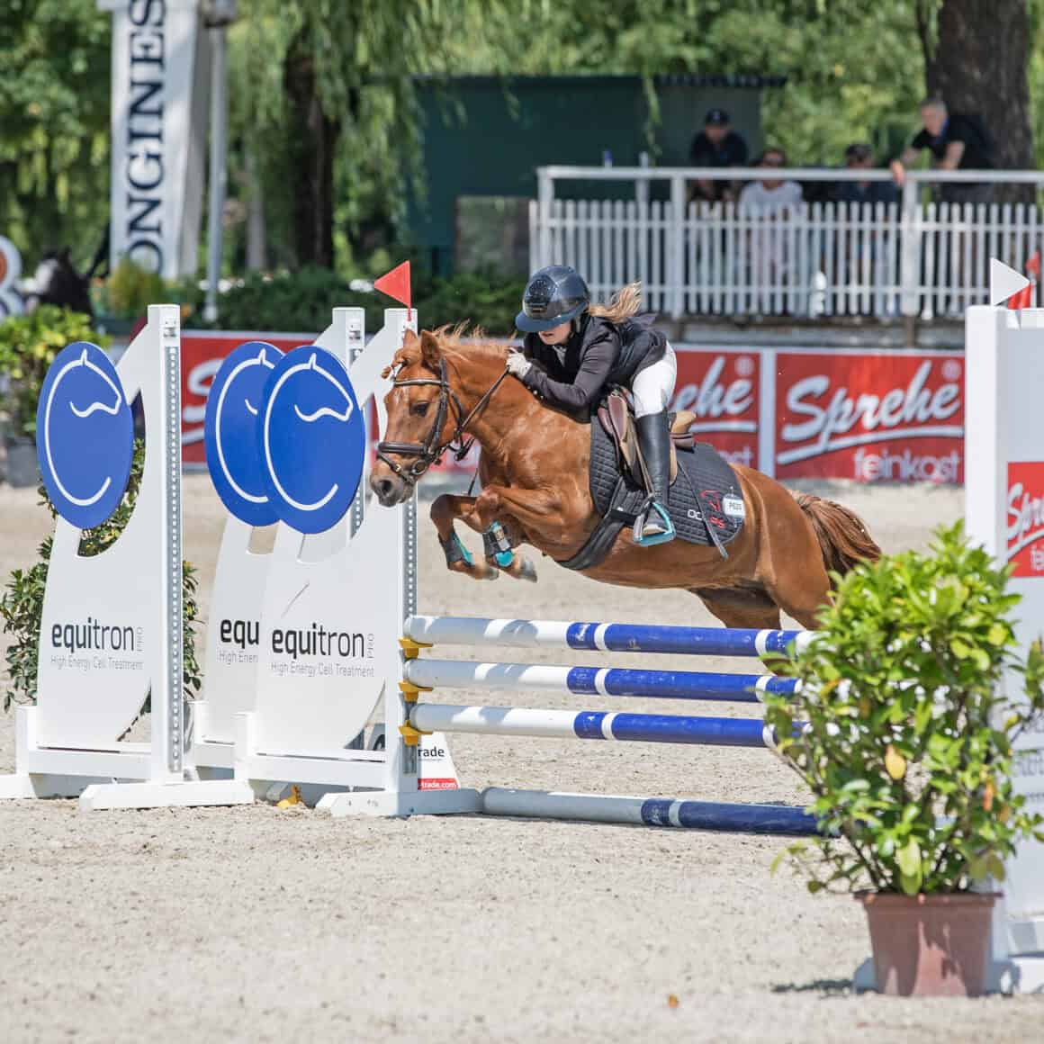 Die erst elfjährige Ida-Vivienne Fischer (OÖ) durfte schon etliche Erfolge im Sattel ihrer Ponys feiern. © privat