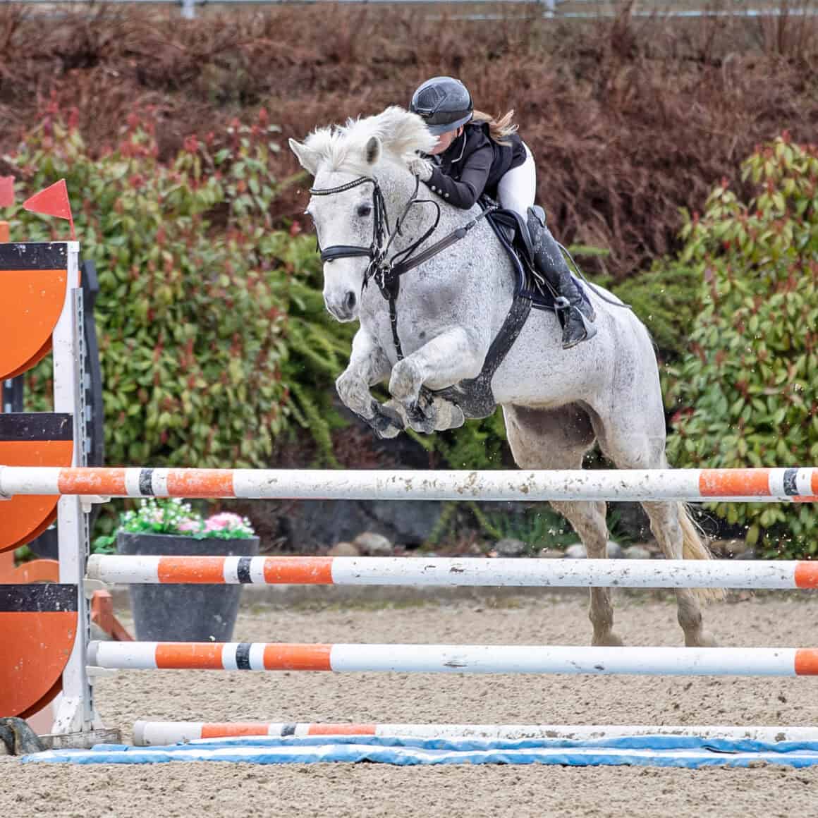 Die erst elfjährige Ida-Vivienne Fischer (OÖ) durfte schon etliche Erfolge im Sattel ihrer Ponys feiern. © privat