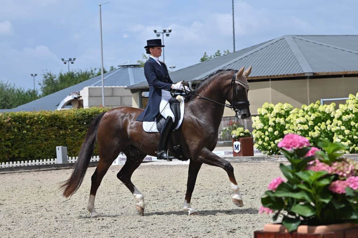Leider nahmen nur drei Reiterinnen das Angebot an. So wie auch Luise Wessely-Trupp (NÖ) und ihr Diavolo LWT. © István Lehoczky 