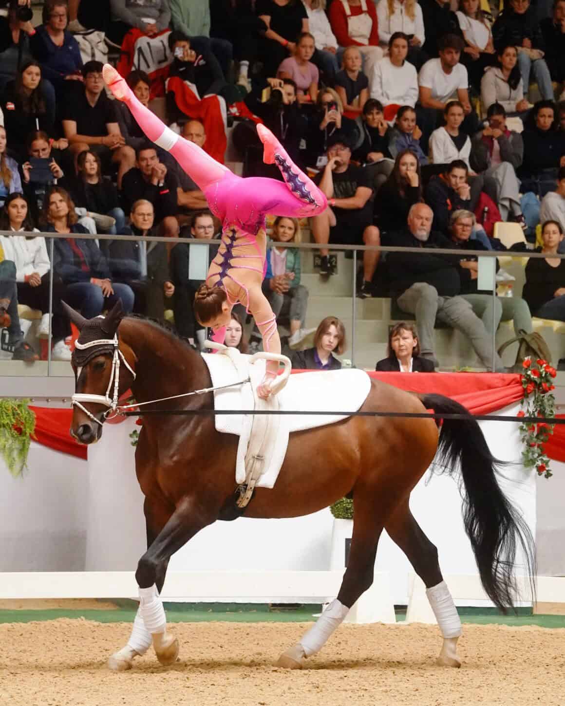 9x Edelmetall für Österreichs Voltigerer:innen. Das ist neuer Rekord! © Andrea Fuchshumer