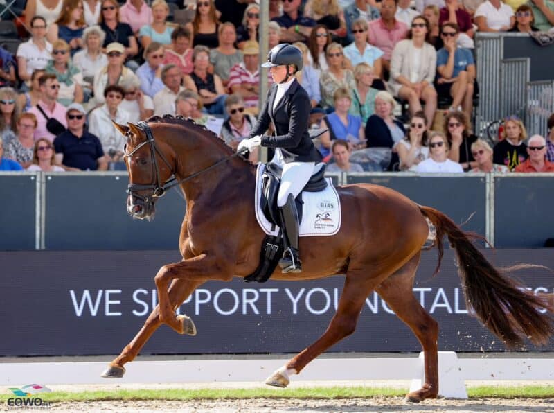 Die gebürtige Kärntnerin Lisa Wernitznig (OÖ) stellte in Verden Victoria Max-Theurers Birkhof's Viva Diamond DSP vor. © EQWO.net | Petra Kerschbaum