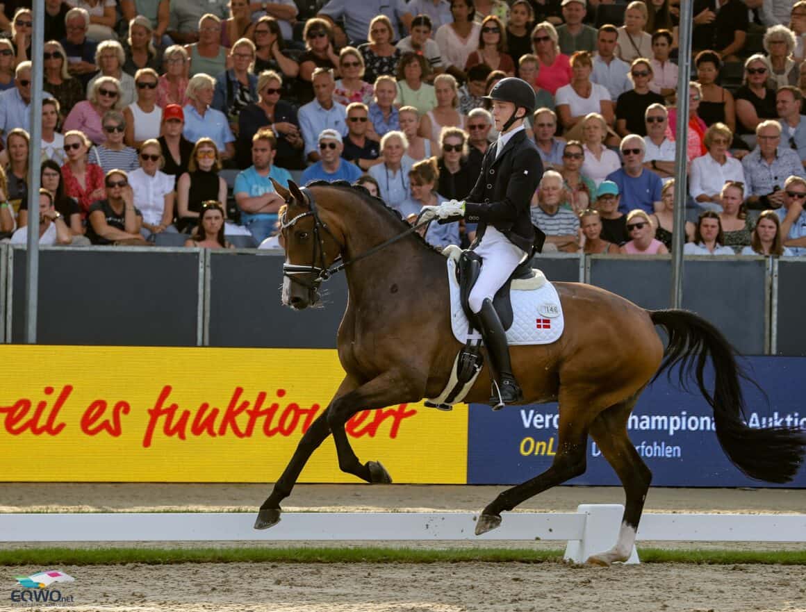 Vizeweltmeisterin der sechsjährigen Dressurpferde: Brandtbjergs Divya v. Hesselhøj Donkey Boy erzielte unter Anders Sjöbeck Hoeck (DEN) exakt 90 %. © EQWO.net | Petra Kerschbaum
