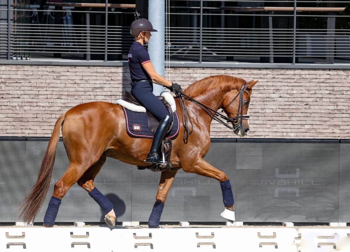 Bettina Kendlbacher (ST) & Broadmoar's Don Alfredo AWÖ, EM Crozet 2025 © EQWO.net