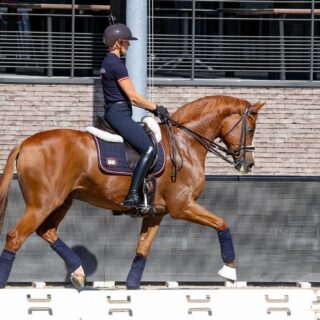 Bettina Kendlbacher (ST) & Broadmoar's Don Alfredo AWÖ, EM Crozet 2025 © EQWO.net