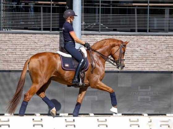 Bettina Kendlbacher (ST) & Broadmoar's Don Alfredo AWÖ, EM Crozet 2025 © EQWO.net