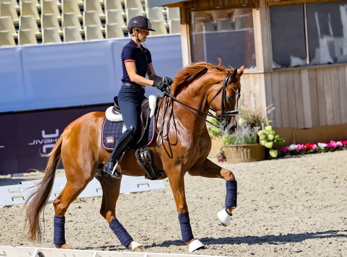 Bettina Kendlbacher (ST) & Broadmoar's Don Alfredo AWÖ, EM Crozet 2025 © EQWO.net