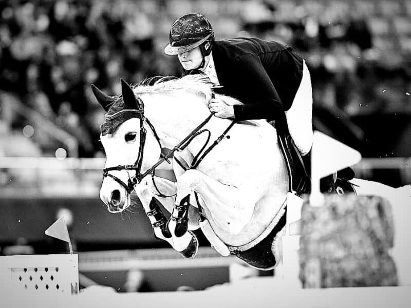 Neugschwent's Castella sollte noch viele Jahre als Mutter auf den Weiden genießen dürfen. © IG: Dominik Juffinger