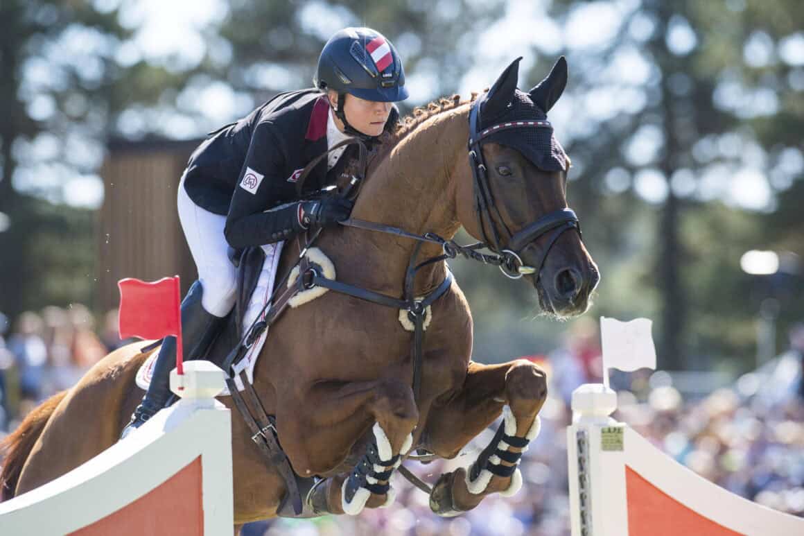 Adieu Fighty! Mit 18 Jahren geht der DSP-Wallach in seine wohlverdiente Pension. © Shannon Brinkman