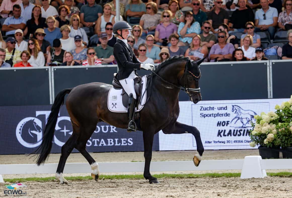 Bronzemedaille für Deutschland! Greta Heemsoth und Hannoveraner-Hengst Endorphin FRH v. Escolar scorten in Verden 88,600 %. © EQWO.net | Petra Kerschbaum