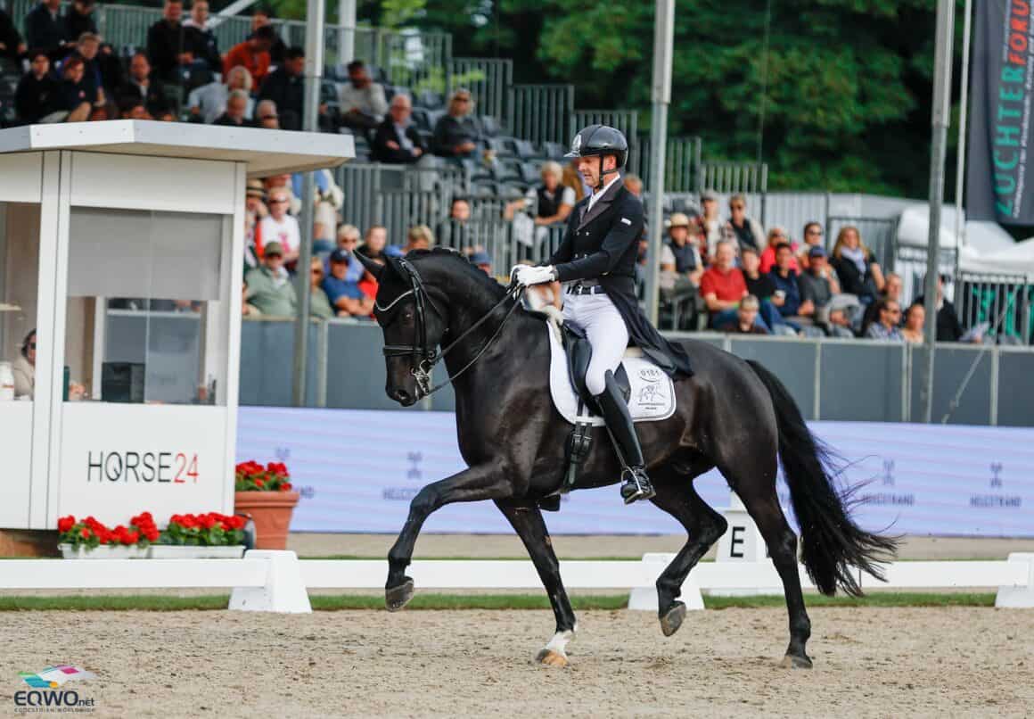 WM-Finale! Der siebenjährige Indigo ANW tanzt in Verden in die Medaillenentscheidung. © EQWO.net | Petra Kerschbaum