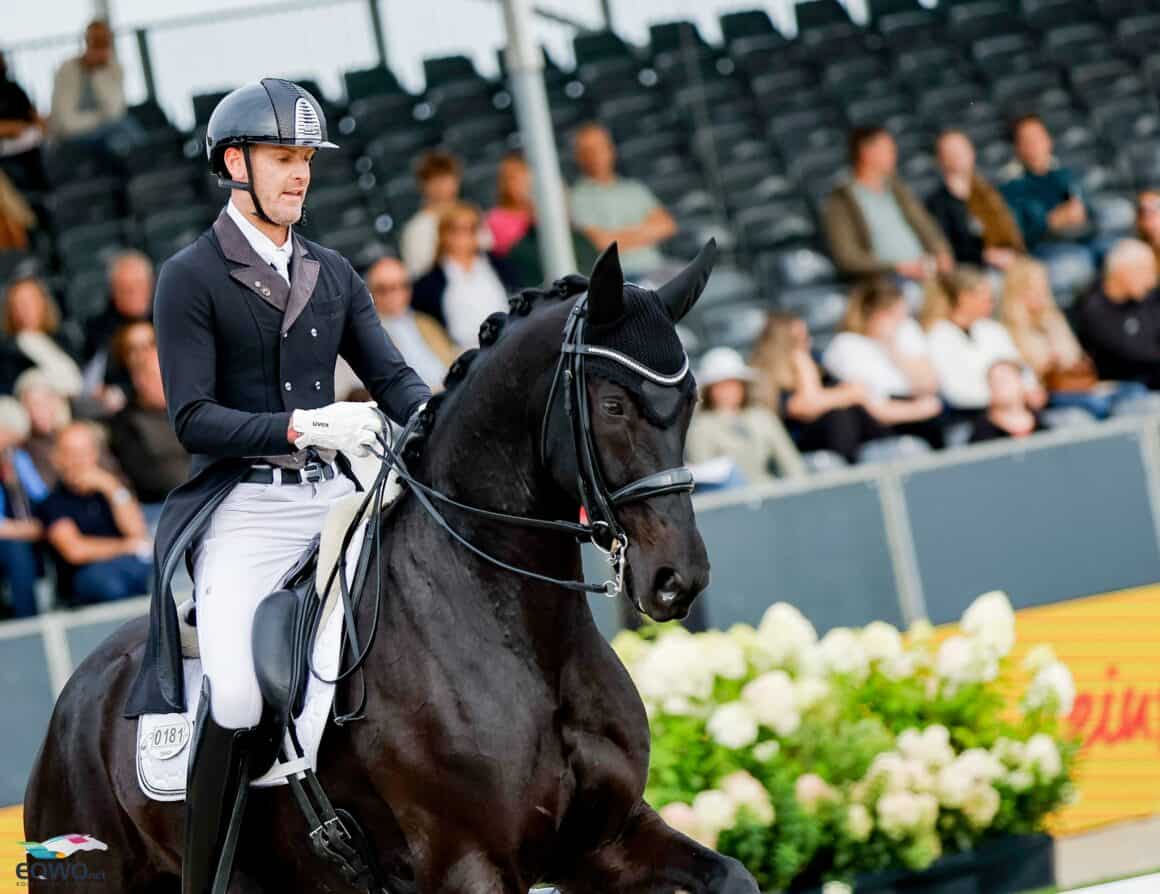 Indigo ANW (Asgard's Ibiza x Dr. Dolittle) wurde gezogen und ist in Besitz von Nina Wagner. © EQWO.net | Petra Kerschbaum