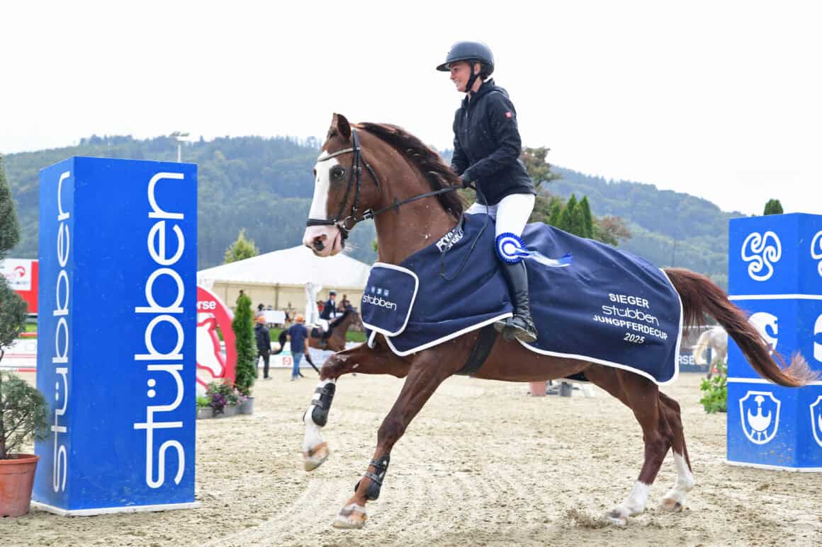 Lisa Steinmetz' AWÖ-Wallach Jumanji ist Gesamtsieger der Jungpferde-Tour für fünfjährige Springpferde! © OEPS | Horsic photography