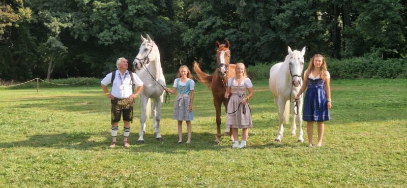 Alle österreichischen Pferde kommen ohne Beanstandung durch den ersten Vetcheck. © privat