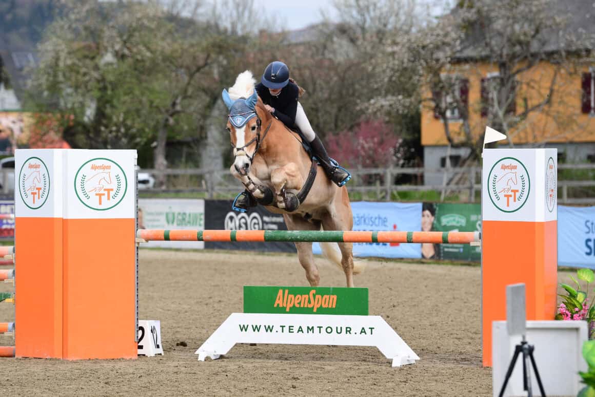 Marissa Egartner (K) und ihre vier Pferde sind erfolgreich im Turniersport unterwegs. © privat