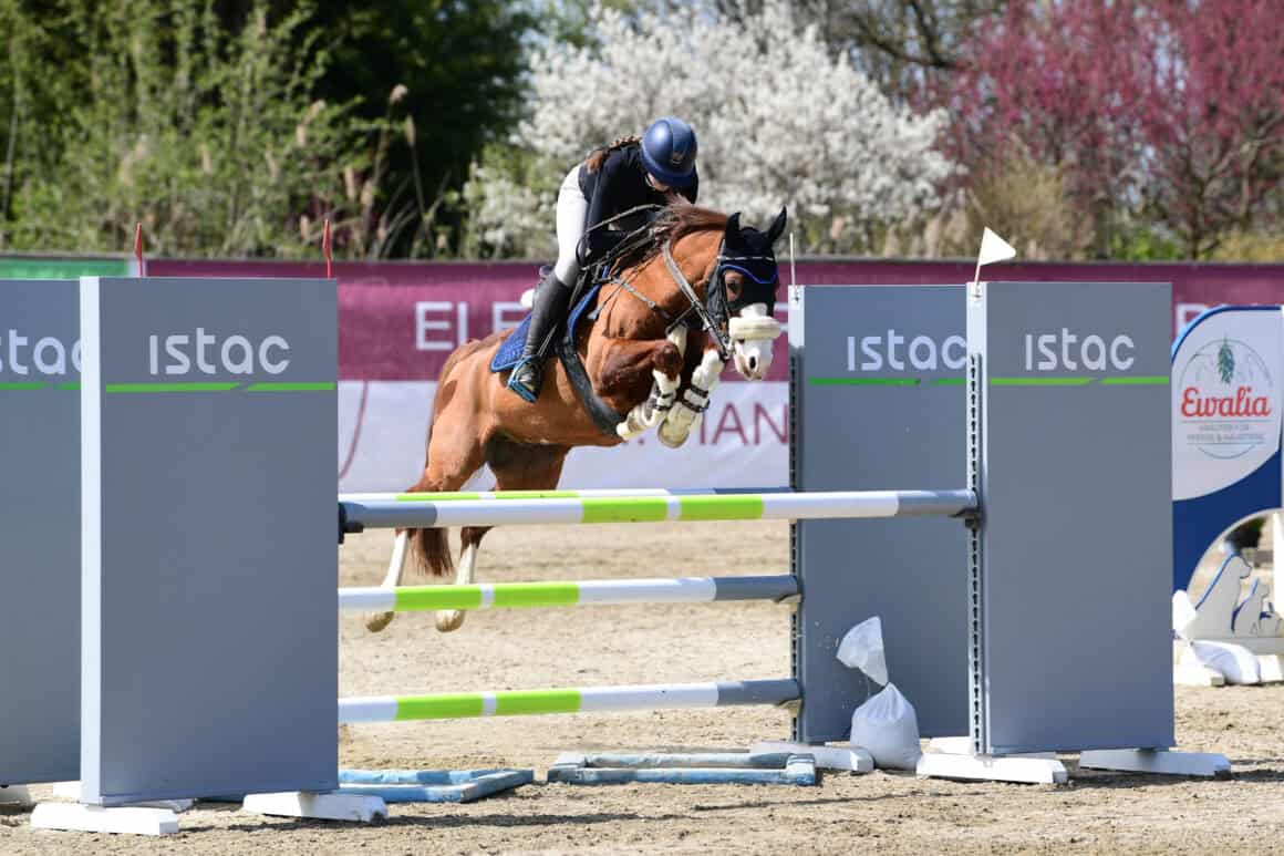 Marissa Egartner (K) und ihre vier Pferde sind erfolgreich im Turniersport unterwegs. © privat