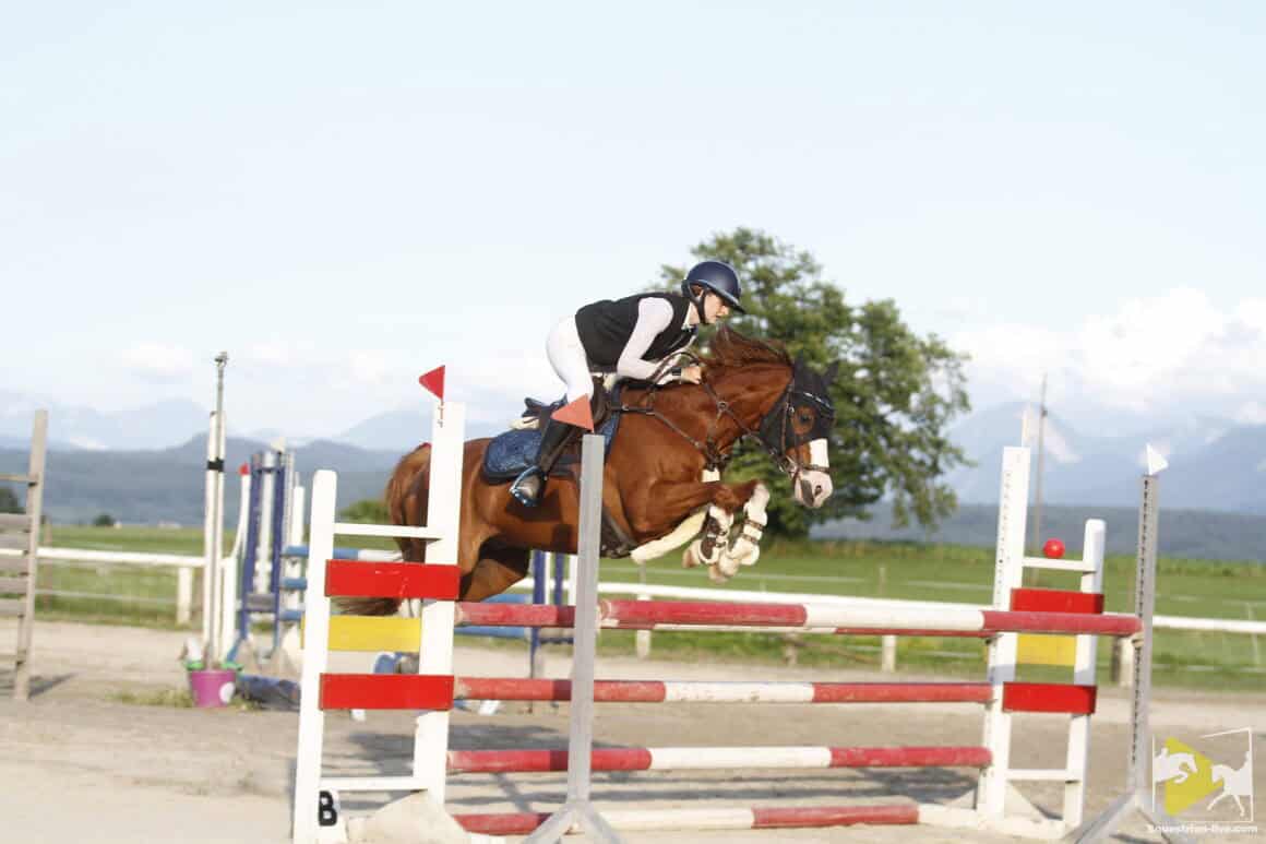 Marissa Egartner (K) und ihre vier Pferde sind erfolgreich im Turniersport unterwegs. © privat