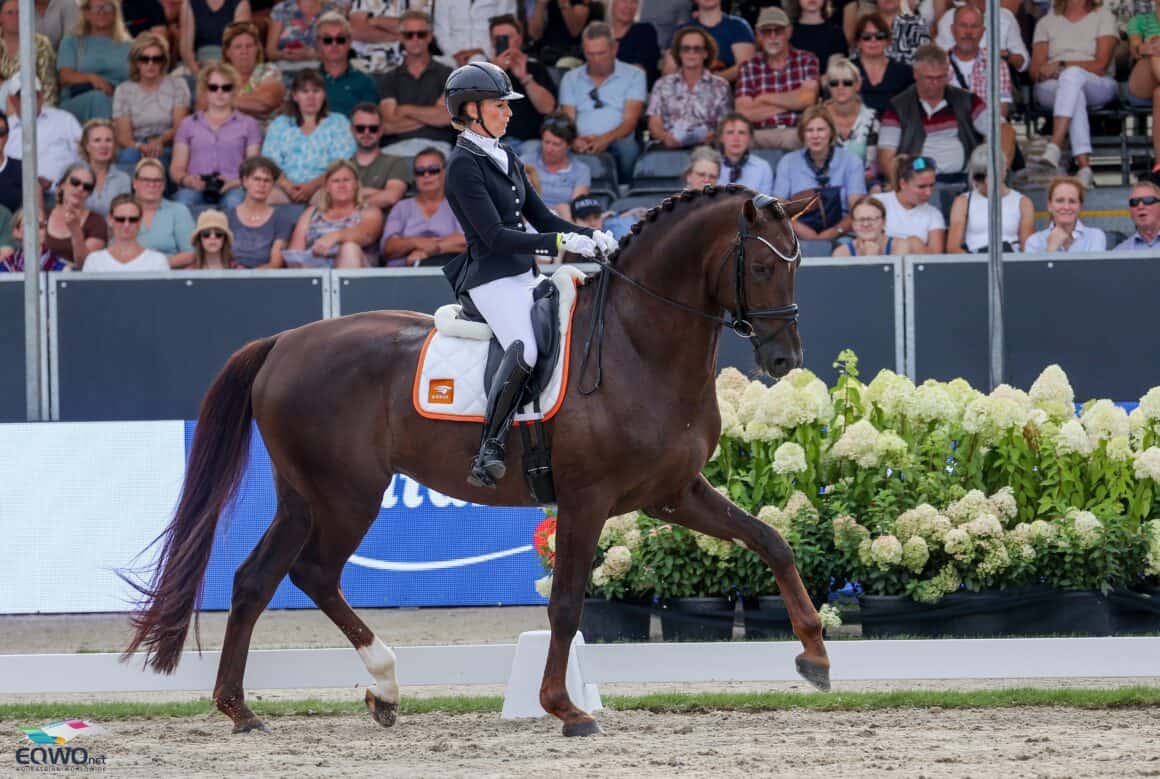 Red Viper. Dinja Van Liere. © EQWO.net | Petra Kerschbaum