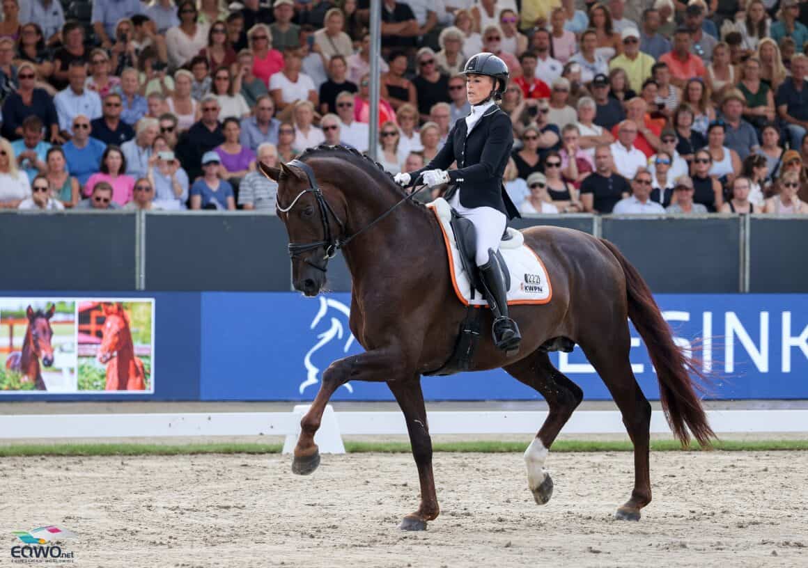 Red Viper. Dinja Van Liere. © EQWO.net | Petra Kerschbaum