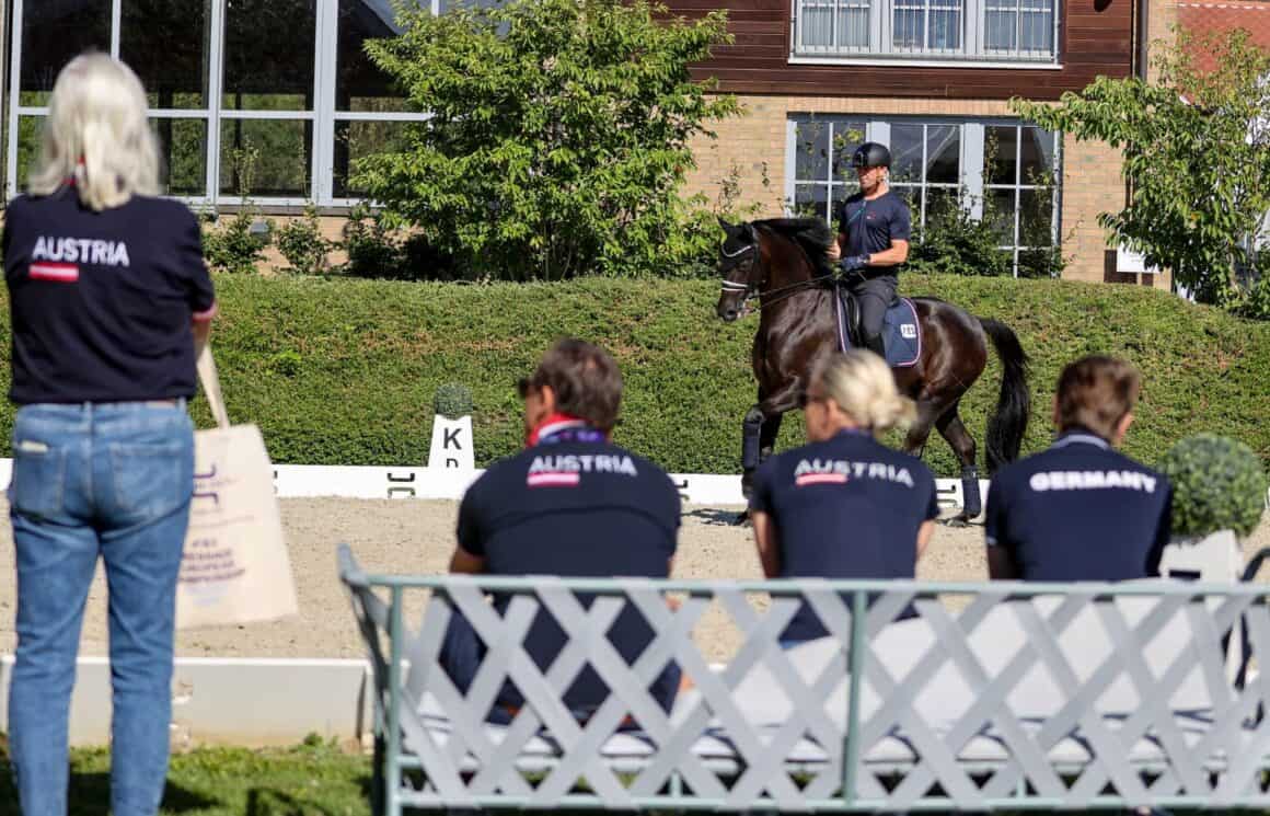 Stefan Lehfellner (OÖ) & Roberto Carlos MT, EM Crozet 2025 © EQWO.net