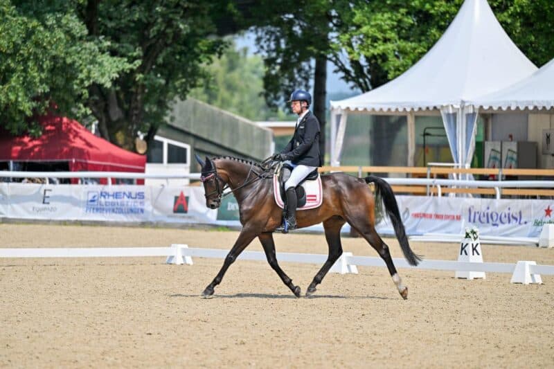 Aufgrund einer Knieverletzung: Pepo Puch (ST) fällt für die EM 2025 aus. © FB: Dressursport Österreich
