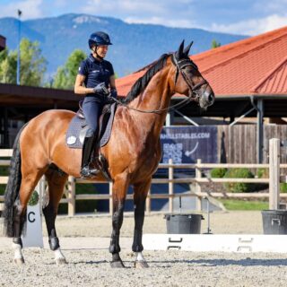 Ingrid Klimke (GER) & Vayron, EM Crozet 2025 © EQWO.net