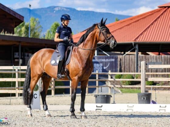 Ingrid Klimke (GER) & Vayron, EM Crozet 2025 © EQWO.net