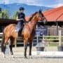 Ingrid Klimke (GER) & Vayron, EM Crozet 2025 © EQWO.net