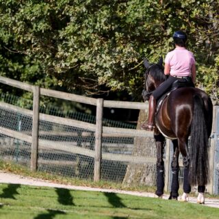 Isabell Werth (GER) und Wendy de Fontaine, EM Crozet 2025 © EQWO.net