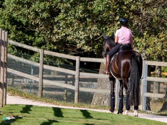 Isabell Werth (GER) und Wendy de Fontaine, EM Crozet 2025 © EQWO.net