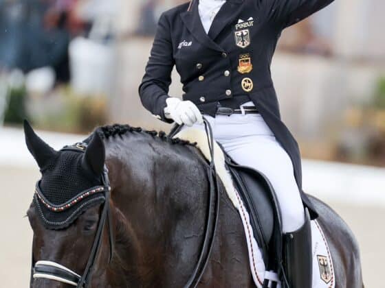 Isabell Werth (GER) Wendy de Fontaine EM Crozet