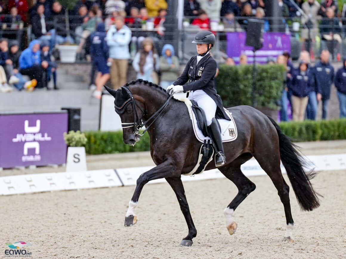 Isabell Werth (GER) Wendy de Fontaine EM Crozet