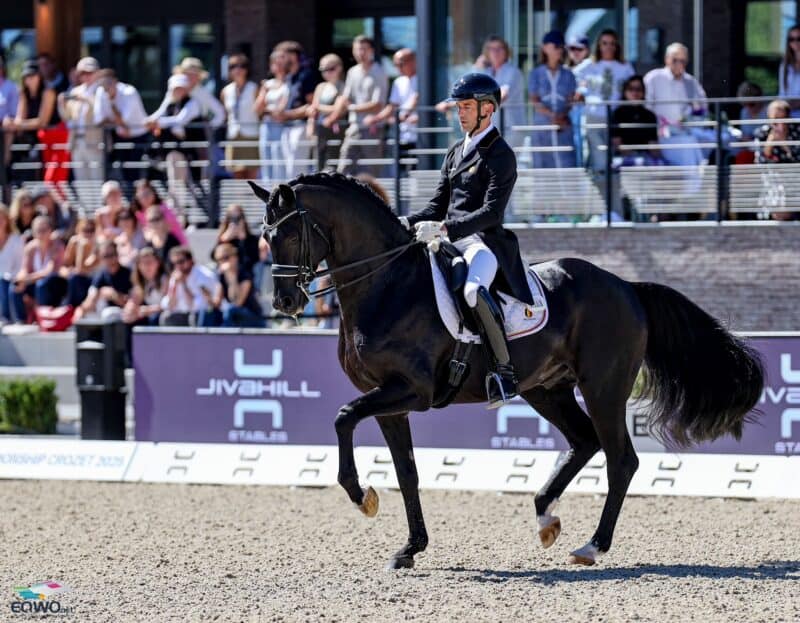 Doppel-Europameister Zonik Plus ist barhuf! Wir haben seinen Besitzer und Reiter Justin Verboomen (BEL) gefragt. © EQWO.net