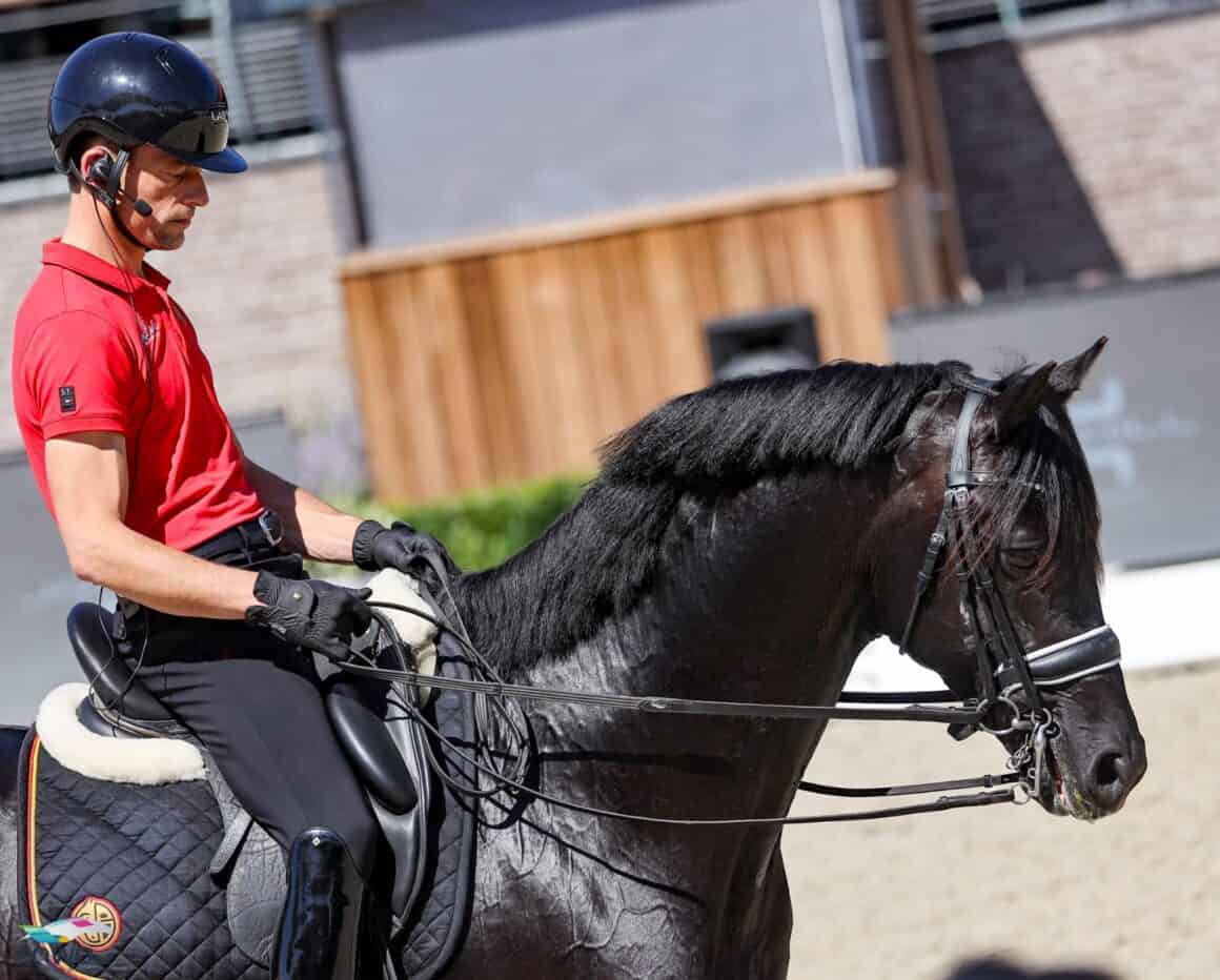 Justin Verboomen (BEL) & Zonik Plus, EM Crozet 2025 © EQWO.net