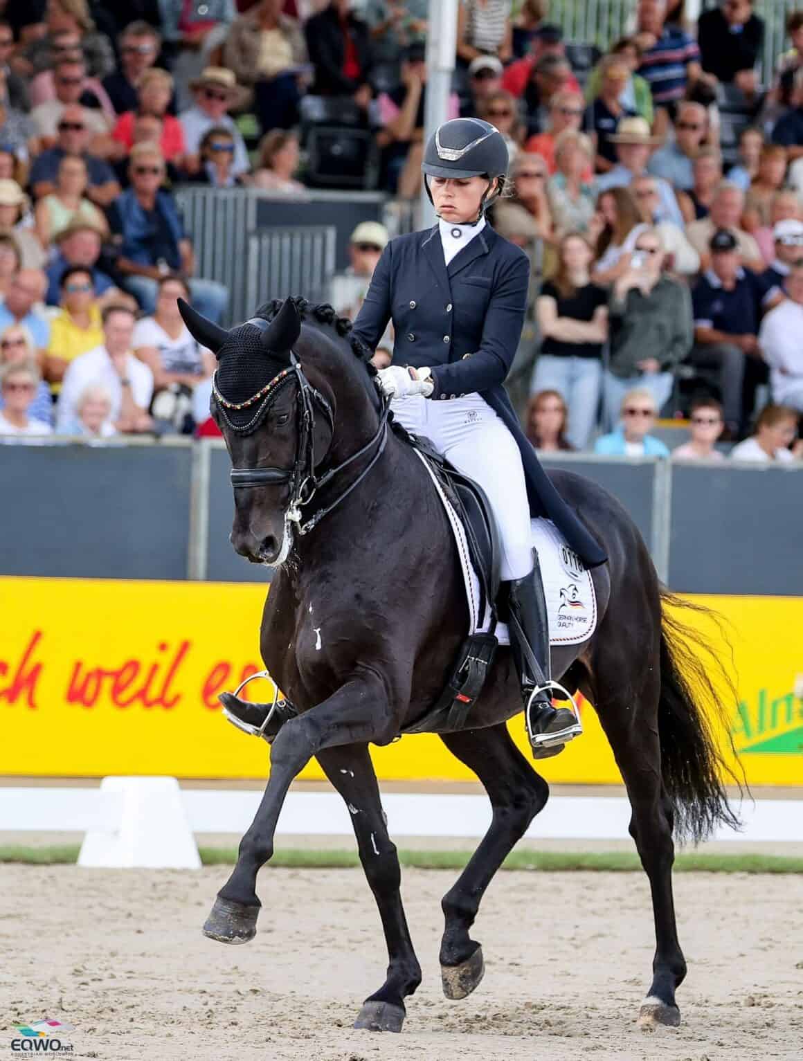 Der Westfalen-Hengst Zulu GV wurde von Elisabeth Max-Theurer gezogen und steht nach wie vor in ihrem Besitz. © EQWO.net | Petra Kerschbaum