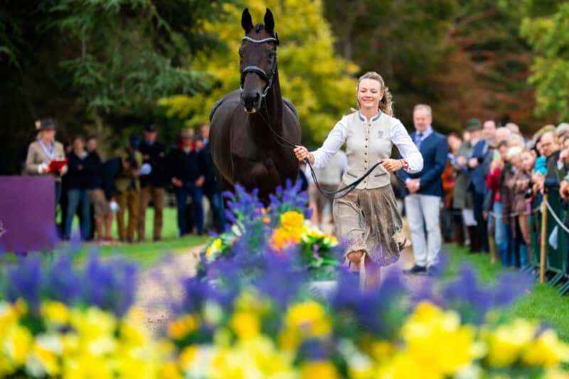 Fit to compete! Die drei österreichischen Vielseitigkeits-Pferde haben den Vetcheck in Blenheim bestanden. © LukaszKowalski.com