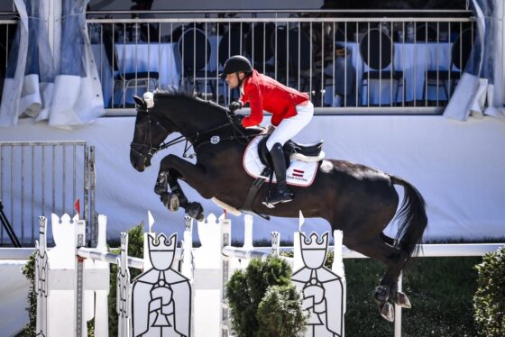 Jannik Domaingo (NÖ) und Lover Boy van het Schaeck steuern beim EEF-Nationenpreis-Finale mit 4/8 Fehlerpunkten das beste österreichische Ergebnis zum Team bei. © Eileen Schreiber